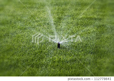 The process of irrigation The process of irrigation 112778641