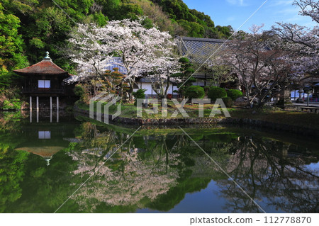 [和歌山縣]櫻花盛開的根本寺（升天池） 112778870