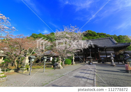 [和歌山縣]櫻花盛開的根吾郎寺（光明殿） 112778872
