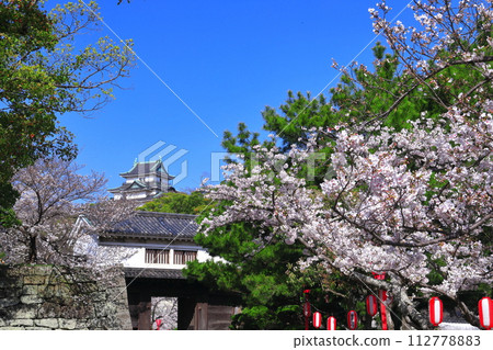 [Wakayama Prefecture] Wakayama Castle in sunny weather and cherry blossoms in full bloom (castle tower and Okaguchi gate) 112778883