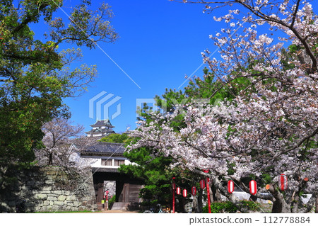 [Wakayama Prefecture] Wakayama Castle in sunny weather and cherry blossoms in full bloom (castle tower and Okaguchi gate) 112778884