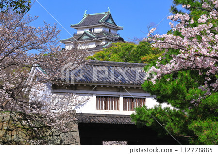 [Wakayama Prefecture] Wakayama Castle in sunny weather and cherry blossoms in full bloom (castle tower and Okaguchi gate) 112778885