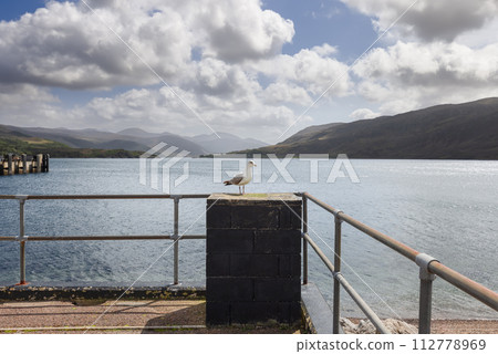 A lone seagull perches on Ullapool pier, overseeing a sparkling loch against Scottish Highlands 112778969
