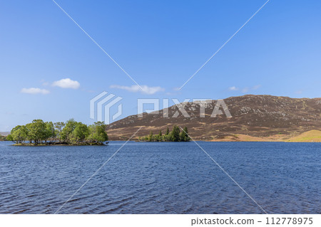 Scottish loch cradles tree-lush island, home to red deer, against gentle hills backdrop 112778975