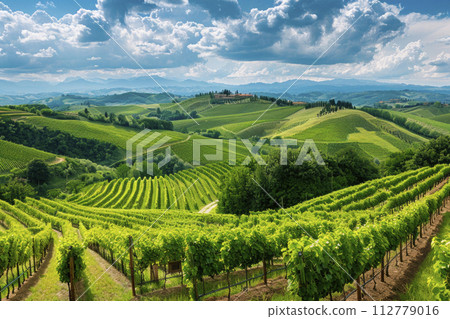 landscape with vineyards on hill background. Ai generative 112779016
