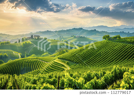 landscape with vineyards on hill background. Ai generative 112779017
