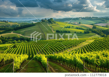 landscape with vineyards on hill background. Ai generative landscape with vineyards on hill background. Ai generative 112779018