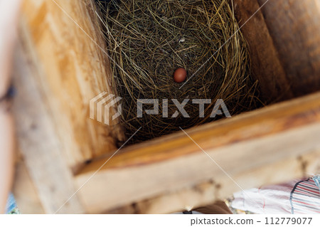 Fresh egg in a straw nest in a small wooden chicken coop, private farm in the countryside. Sustainable farming, fresh egg laid by organic domestic chicken 112779077