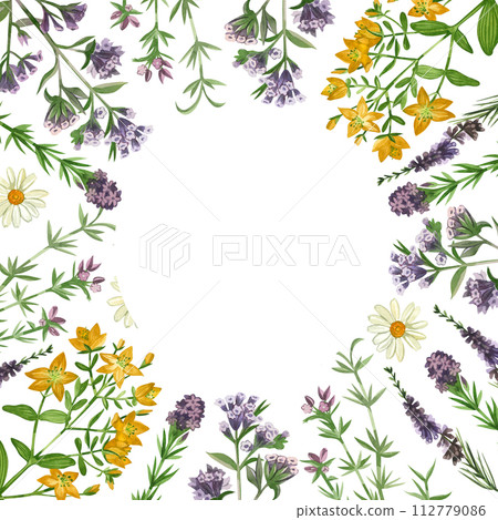 Watercolor illustration. Round frame of meadow herbs and flowers, oregano, oregano, hypericaceae hand drawn in green and purple watercolor. For printing on fabric, paper, design, scrapbooking. 112779086