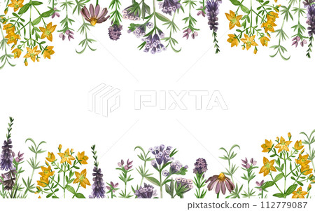 A rectangular border along the top and bottom of flowers and meadow grasses of lungwort, echinacea, heather, hypericaceae, oregano, hand-painted in watercolors. For printing on books, textiles, design A rectangular border along the top and bottom of flowers and meadow grasses of lungwort, echinacea, heather, hypericaceae, oregano, hand-painted in watercolors. For printing on books, textiles, design 112779087