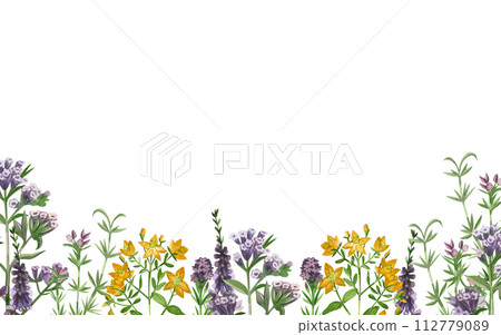 Watercolor illustration. The border of flowers and meadow grasses of lungwort, St. John's wort, heather, and oregano is hand-drawn in colored watercolors. For printing on books, textiles, design. Watercolor illustration. The border of flowers and meadow grasses of lungwort, St. John's wort, heather, and oregano is hand-drawn in colored watercolors. For printing on books, textiles, design. 112779089