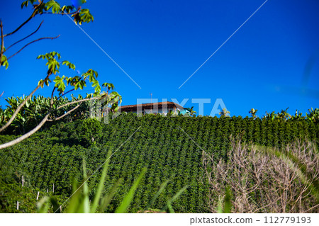 The beautiful Coffee Cultural Landscape of Colombia declared as a World Heritage Site in 2011 The beautiful Coffee Cultural Landscape of Colombia declared as a World Heritage Site in 2011 112779193