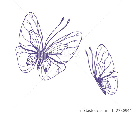 Delicate butterflies with patterns on the wings, simple, sweet, light, romantic. Illustration graphically hand-drawn in lilac ink in line style. Set of isolated EPS vector objects Delicate butterflies with patterns on the wings, simple, sweet, light, romantic. Illustration graphically hand-drawn in lilac ink in line style. Set of isolated EPS vector objects 112780944