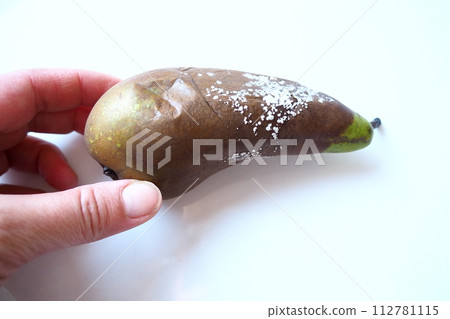 The pear became moldy. A mold or mould. The dust-like, colored appearance of molds is due to the formation of spores containing fungal secondary metabolites. Perishable food products. White background The pear became moldy. A mold or mould. The dust-like, colored appearance of molds is due to the formation of spores containing fungal secondary metabolites. Perishable food products. White background 112781115