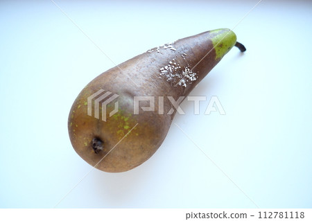 The pear became moldy. A mold or mould. The dust-like, colored appearance of molds is due to the formation of spores containing fungal secondary metabolites. Perishable food products. White background The pear became moldy. A mold or mould. The dust-like, colored appearance of molds is due to the formation of spores containing fungal secondary metabolites. Perishable food products. White background 112781118