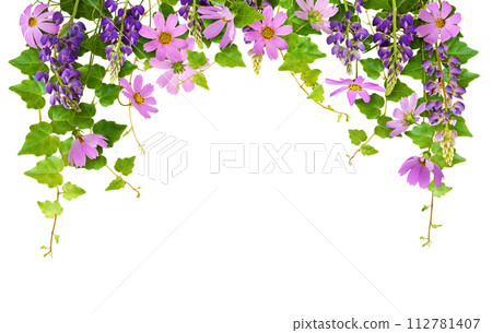 Floral arch with ivy leaves and flowers for top border isolated on white Floral arch with ivy leaves and flowers for top border isolated on white 112781407