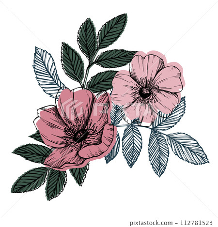 Rose hip vector composition with leaves and flowers. Wild rose, medicinal herb line art drawing, pink and red bud. Outline graphic illustration. sketch for card, prints, logo, tattoo, wedding design 112781523
