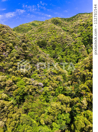 Takikyo (Sunny May) 112781544