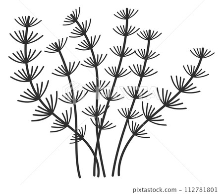 Algae plant silhouette. Black underwater flora icon 112781801