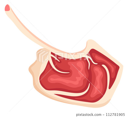 Lamb rib meat. Raw fresh uncooked food Lamb rib meat. Raw fresh uncooked food 112781905