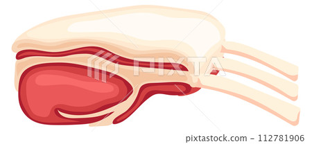 Pork ribs. Cartoon raw meat for barbecue or grill Pork ribs. Cartoon raw meat for barbecue or grill 112781906
