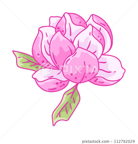 Illustration of lily flower. Beautiful decorative plant. 112782029