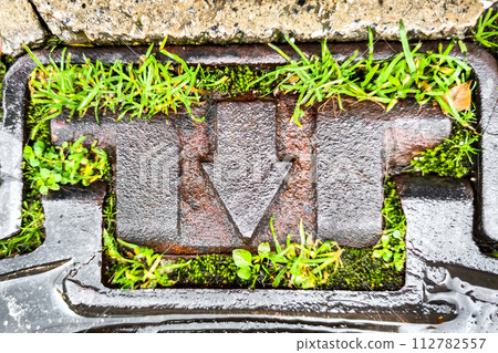 Metal Arrow Down Surrounded by Green Grass, Concept of Direction and Movement, and Path to Development and Progress, Symbol of Harmonious Fusion of Modern Technology and Nature. Metal Arrow Down Surrounded by Green Grass, Concept of Direction and Movement, and Path to Development and Progress, Symbol of Harmonious Fusion of Modern Technology and Nature. 112782557