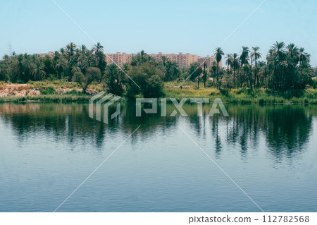 Majestic Nile Shoreline: Forest from the Cruise Ship. Egypt Summer Travel 112782568