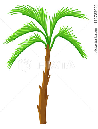 Cartoon palm. Jungle green tree. Beach plant 112783003