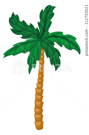 Tropical tree. Green jungle nature. Palm plant Tropical tree. Green jungle nature. Palm plant 112783021