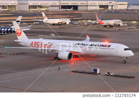 到港客機 客機機頭 客機進入現場 112783174