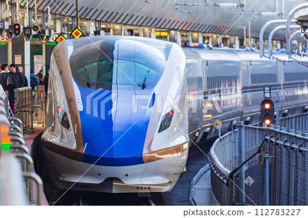 Joetsu Shinkansen/Hokuriku Shinkansen entering Tokyo Station 112783227