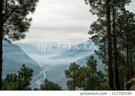 Amazing sunny view on Beas river in Kullu (Himachal Pradesh) with pine trees and town 112783580