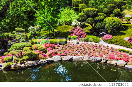 Drone view on Japanese garden in Kaiserslautern with rhododendron blossoms and pond and yew tree Drone view on Japanese garden in Kaiserslautern with rhododendron blossoms and pond and yew tree 112783631