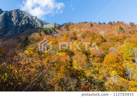 Autumn Mt. Tanigawa: Hiking course at the best time to see the autumn leaves Autumn Mt. Tanigawa: Hiking course at the best time to see the autumn leaves 112783935