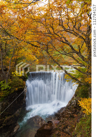秋季，谷川山麓的湯吹瀑布，紅葉盛開 112784157