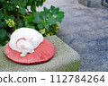 Cat sleeping on a cushion on the street 112784264