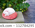 Cat sleeping on a cushion on the street 112784295