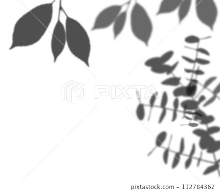 Shadow from a branch with leaves on an isolated background 112784362