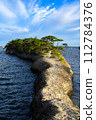 Matsushima's blue sea and sky 112784376