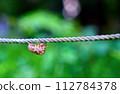 A cicada shell perched on a rope 112784378