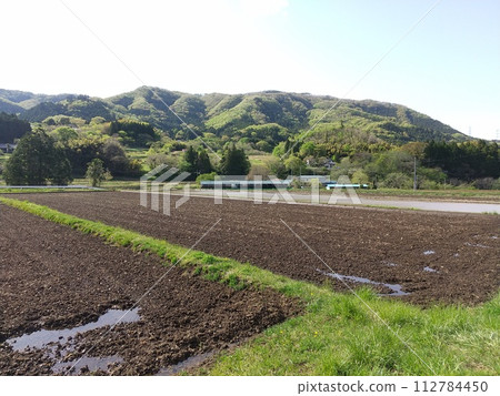 Rice fields in Koshikawa-cho, Shiroishi City, Miyagi Prefecture 112784450