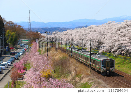 擁擠的白石河畔，兩旁種滿了千本櫻和東北本線 E721 系列車 112784694