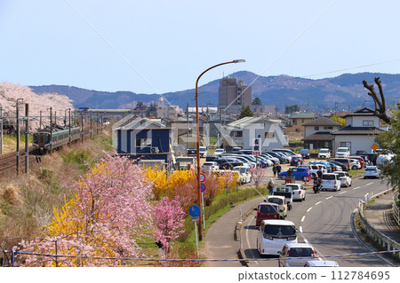 Crowded Shiroishi River bank lined with Senbonzakura trees and Tohoku Main Line E721 series train 112784695