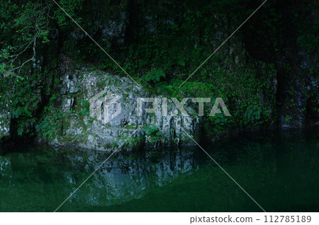 A rock surrounded by fresh greenery A rock surrounded by fresh greenery 112785189
