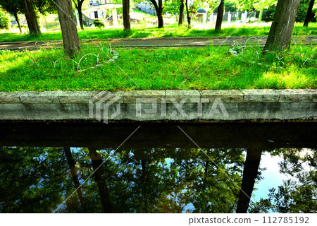 大阪市花博紀念公園鶴見綠地 鮮綠水杉 112785192
