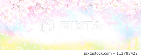 Cherry blossoms and rape blossom fields, spring sky 112785422