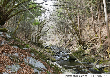 [Hinohara Village, Chichibu Tama Kai National Park “Okutama Tour Road” Minamiakigawa Stream] 112786136