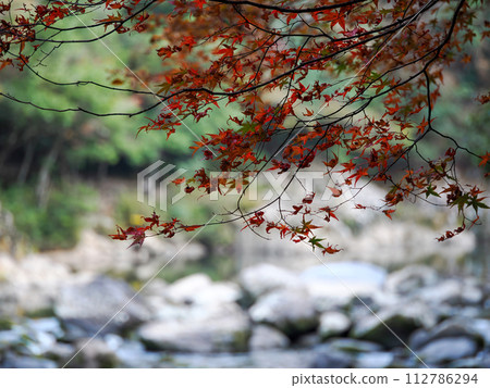 萩市長門峽風景 112786294