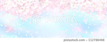 Cherry blossoms in full bloom in the spring of spring 112786498